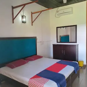 Ceylonica Негомбо